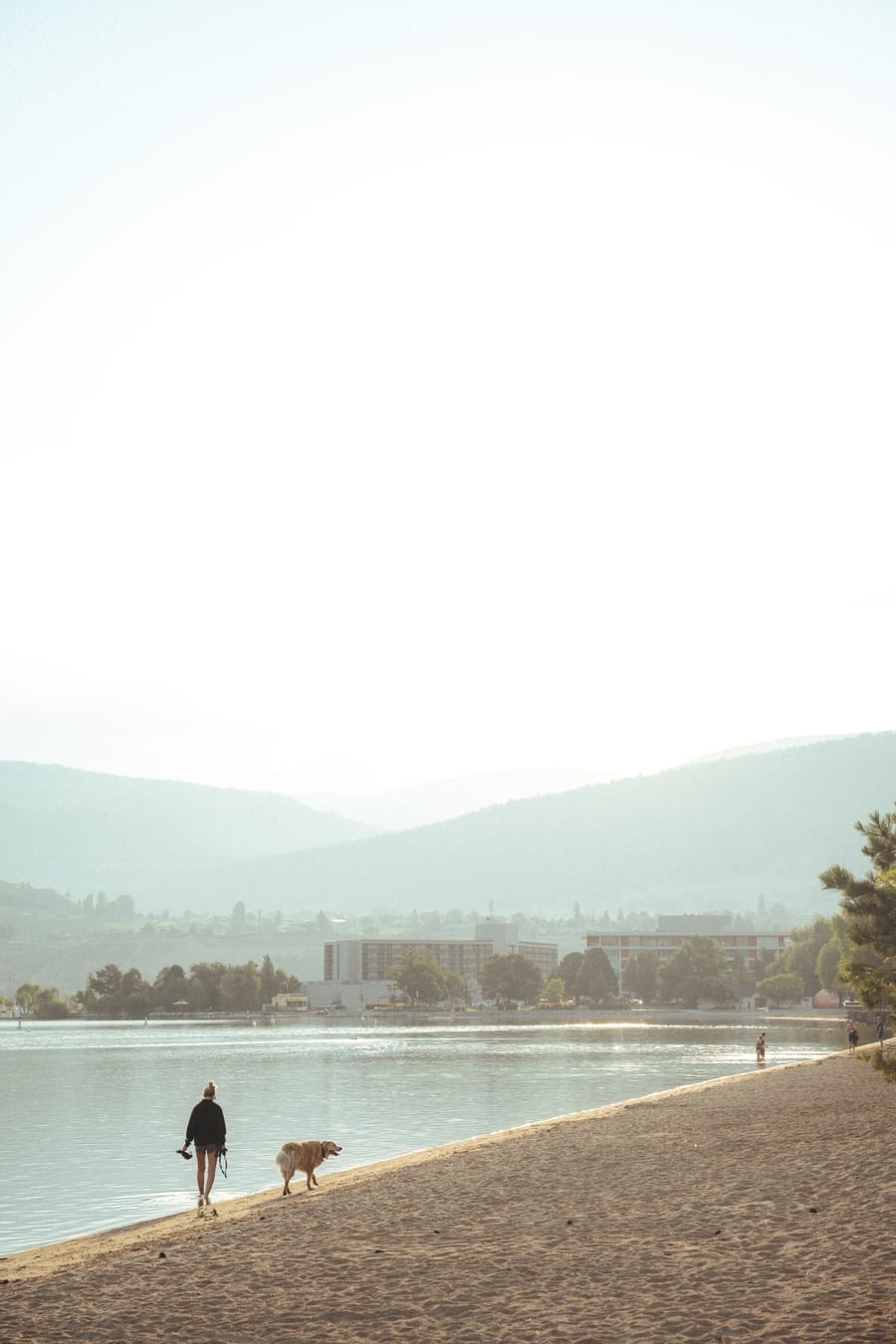 A person walking a dog along the Penticton beach at dawn